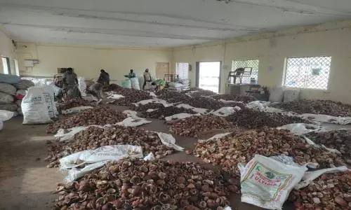 ஆனைமலையில் கொப்பரை தேங்காய் ஏலம்