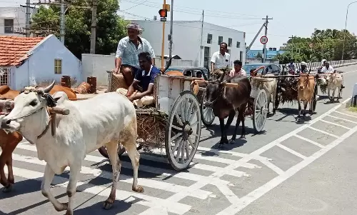 ஆடி அமாவாசை பூஜையில் பங்கேற்கமாட்டு வண்டிகளில் வந்த பக்தர்கள்