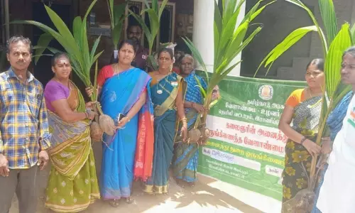 300 பயனாளிகளுக்கு தென்னங்கன்றுகள்