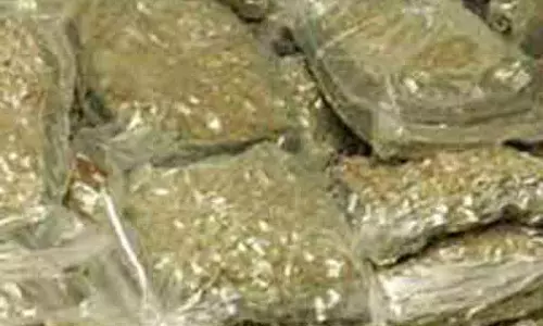 கஞ்சா பறிமுதல்