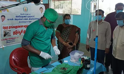 தெருநாய்களுக்கு கருத்தடை அறுவை சிகிச்சை