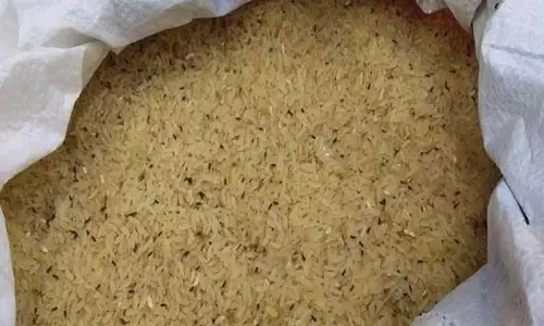 சரக்கு ஆட்டோவில் 650 கிலோ ரேஷன் அரிசி கடத்தியவர் கைது