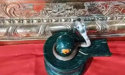 வெண்ணந்தூர் அருகே சிவலிங்கத்தின் மீது அமர்ந்த பாம்பு