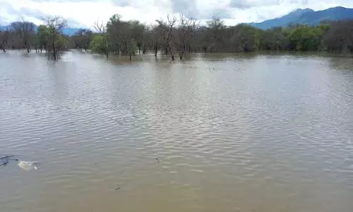 தென்மேற்கு பருவமழை 50 சதவீதம் குறைவு