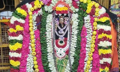 தேவபாண்டலம்பெரியநாயகி அம்மன் கோவிலில் ஊஞ்சல் உற்சவம் தேவபாண்டலம்பெரியநாயகி அம்மன் கோவிலில் ஊஞ்சல் உற்சவம்