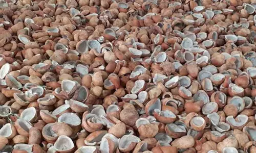 ரூ.3¾ லட்சத்துக்கு கொப்பரை ஏலம்