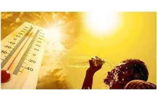 நெல்லையில் 104.6 டிகிரி வெயில் பதிவு நெல்லையில் 104.6 டிகிரி வெயில் பதிவு