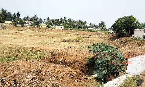 தண்ணீர் இன்றி வறண்டு கிடக்கும் குளங்கள்