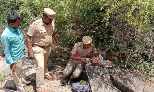 பூசாரிப்பட்டி பகுதியில் சிறுத்தை புலி நடமாட்டத்தை அறிய 4 கண்காணிப்பு கேமராக்கள் அமைப்பு