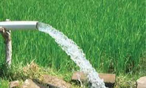 கோவில்பட்டி கோட்டத்தில்தட்கல் திட்டத்தில் விவசாயிகளுக்கு மின்இணைப்பு