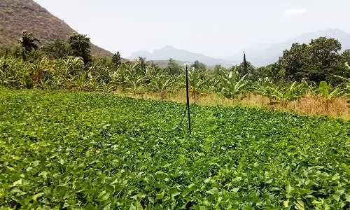 வனப்பகுதியில் உற்பத்தியாகின்ற ஆறுகளில் நீர்வரத்து குறைந்தது