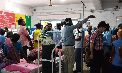 தேனீக்கள் கொட்டியதில் 34 தொழிலாளர்கள் காயம்