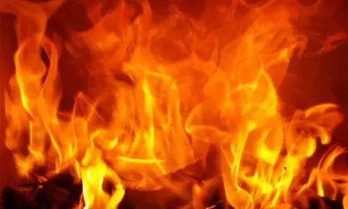 கொட்டகையில் தீ; 11 ஆடுகள், 23 கோழிகள் செத்தன