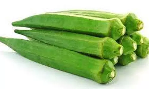 உழவர் சந்தையில் வெண்டைக்காய் விலை வீழ்ச்சி-கிலோ ரூ.12-க்கு விற்பனை