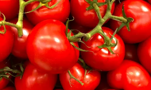 கோலார் மார்க்கெட்டில் ஒரு கிலோ தக்காளி ரூ.10-க்கு விற்பனை கோலார் மார்க்கெட்டில் ஒரு கிலோ தக்காளி ரூ.10-க்கு விற்பனை