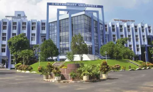 கால்நடை மருத்துவ படிப்புகளுக்கான பொதுப்பிரிவு கலந்தாய்வு தொடங்கியது கால்நடை மருத்துவ படிப்புகளுக்கான பொதுப்பிரிவு கலந்தாய்வு தொடங்கியது