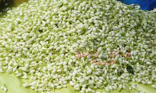 முகூர்த்த நாட்களையொட்டி சேலத்தில் பூக்கள் விலை உயர்வு-குண்டுமல்லி கிலோ ரூ.600-க்கு விற்பனை