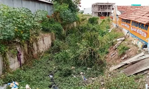 பராமரிப்பு பணியில் முறைகேடு?