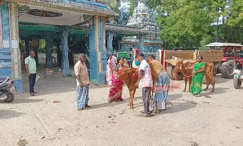 கால்நடை தடுப்பூசி முகாம்