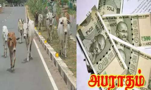 மாமல்லபுரத்தில் போக்குவரத்துக்கு இடையூறாக சாலையில் சுற்றி திரிந்த மாடுகளின் உரிமையாளர்களுக்கு அபராதம்
