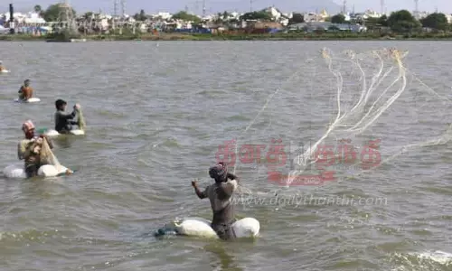 கோவையில் மீன் விலை குறைந்தது
