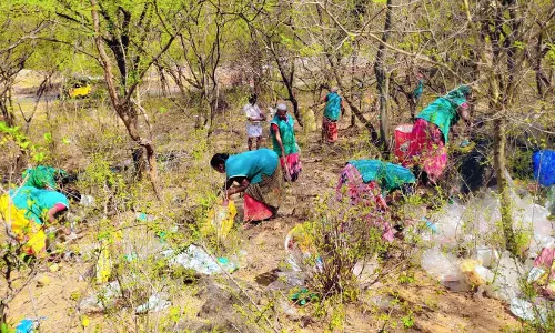 கடமலைக்குண்டு அருகேவனப்பகுதியில் பிளாஸ்டிக் குப்பைகள் அகற்றம்