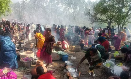 திருக்கோவிலூர் அருகே இளையபெருமாள் கோவில் பெரும் பூஜை விழா: ஏராளமான பக்தர்கள் பங்கேற்பு