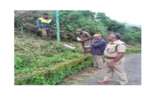 பந்தலூரில் சிறுத்தை நடமாட்டம்:கேமரா பொருத்தி கண்காணிப்பு