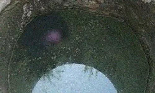 குடிநீர் தொட்டிக்குள் இறந்து கிடந்த பன்றிக்குட்டி