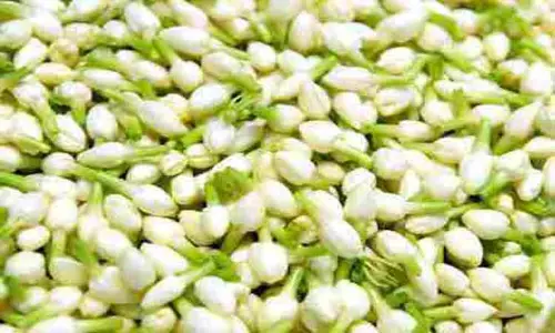 சத்தியமங்கலம் மார்க்கெட்டில் மல்லிகைப்பூ கிலோ ரூ.580-க்கு ஏலம்