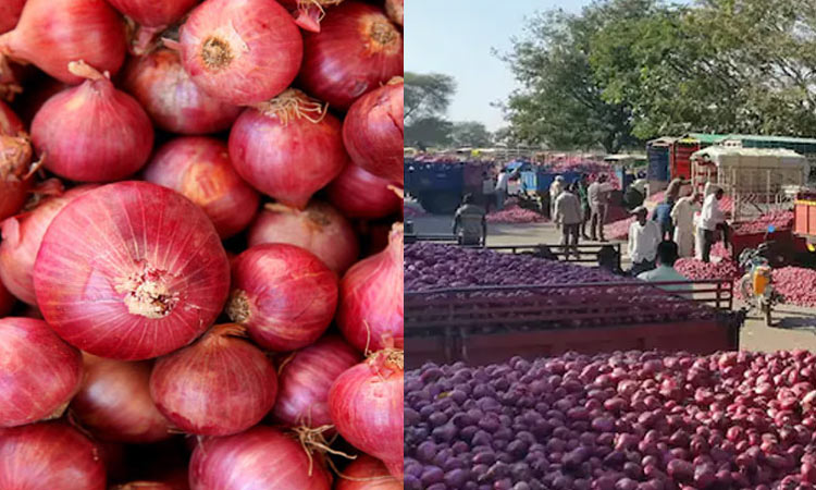 விலை உயர்வு..! 10 நகரங்களில் மானிய விலையில் வெங்காய விற்பனை