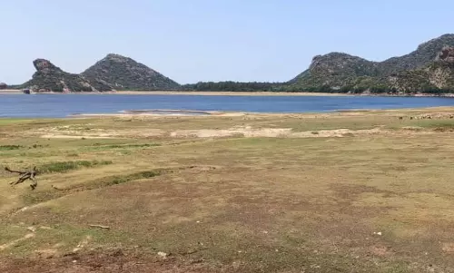 வேகமாக குறைந்து வரும் அணைகளின் நீர்மட்டம்