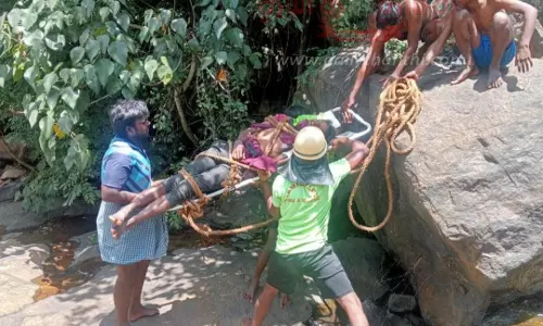 கொல்லிமலை மாசிலா அருவியில் குளிக்க சென்றசுற்றுலா பயணி 50 அடி பள்ளத்தில் தவறி விழுந்து பலிதிருச்சி மாவட்டத்தை சேர்ந்தவர்