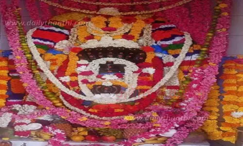 நாகராஜர் கோவிலில் நாக பஞ்சமி திருவிழா நாகராஜர் கோவிலில் நாக பஞ்சமி திருவிழா