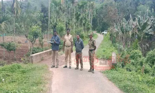 ஆட்டை அடித்து கொன்ற சிறுத்தை