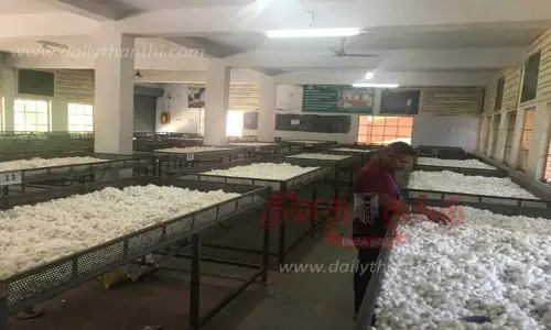 பட்டுக்கூடு விலை ஏறுமுகம்...விவசாயிகள் மகிழ்ச்சி முகம் பட்டுக்கூடு விலை ஏறுமுகம்...விவசாயிகள் மகிழ்ச்சி முகம்