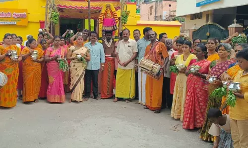 நாகாலம்மன் கோவிலில் பால்குட அபிஷேக பெருவிழா