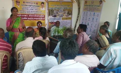 நவீன கரும்பு சாகுபடி குறித்து விவசாயிகளுக்கு பயிற்சி நவீன கரும்பு சாகுபடி குறித்து விவசாயிகளுக்கு பயிற்சி