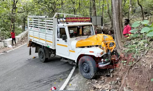 ஏற்காட்டுக்கு திருமணத்திற்கு சென்று திரும்பியபோதுசரக்கு வேன் மரத்தில் மோதி டிரைவர் உள்பட 24 பேர் காயம்