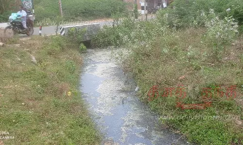 பாசன வாய்க்காலை தூர்வார வேண்டும்