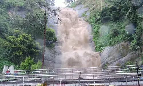 கொடைக்கானலில் கொட்டித்தீர்த்த கனமழை; வெள்ளி நீர்வீழ்ச்சியில் வெள்ளப்பெருக்கு கொடைக்கானலில் கொட்டித்தீர்த்த கனமழை; வெள்ளி நீர்வீழ்ச்சியில் வெள்ளப்பெருக்கு