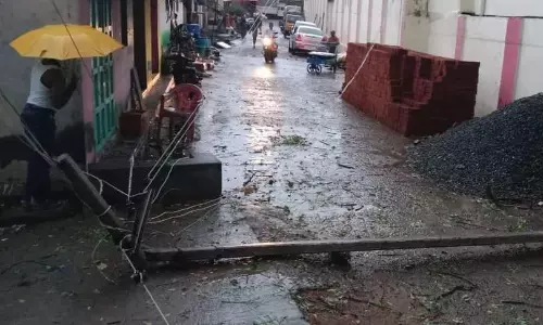 மாவட்டத்தில் பலத்த காற்றுடன் மழை மாவட்டத்தில் பலத்த காற்றுடன் மழை