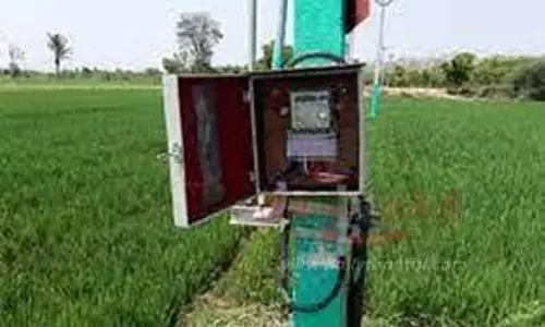 தட்கல் முறையில் பதிவு செய்யும் விவசாயிகளுக்கு முன்னுரிமை அடிப்படையில் மின் இணைப்பு