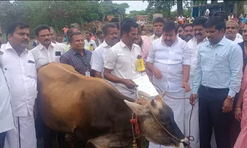 ரூ.2 கோடியில் நலத்திட்ட உதவிகள்