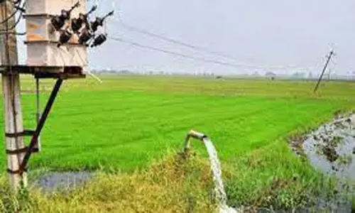 தட்கல் சிறப்பு திட்டத்தில்திருச்செந்தூர் பகுதி விவசாயிகள் மின்இணைப்பு பெறலாம்:அதிகாரி தகவல்