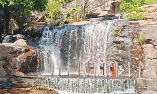 மேற்கு தொடர்ச்சி மலையில் சாரல் மழை