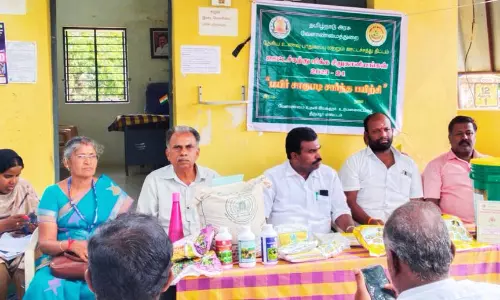 சிறுதானிய உற்பத்தியை அதிகரிப்படி எப்படி?