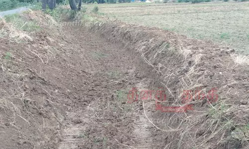 கடைமடை பகுதிக்கு தண்ணீர் கிடைக்குமா?