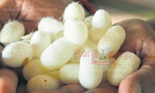 தர்மபுரி அங்காடிக்கு பட்டுக்கூடுகள் வரத்து அதிகரிப்பு