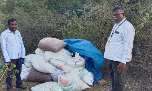 புதரில் பதுக்கி வைத்திருந்த 1 டன் ரேஷன் அரிசி பறிமுதல்